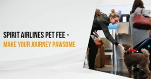 Spirit Airlines Pet Fee